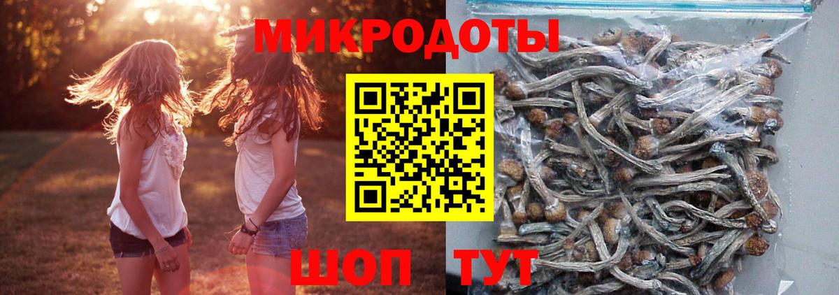 Галлюциногенные грибы прущие грибы Красноармейск
